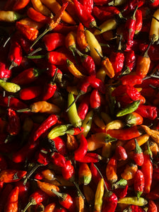 Birds Eye Chilli - 30 Seeds