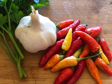 Load image into Gallery viewer, Birds Eye Chilli - 30 Seeds