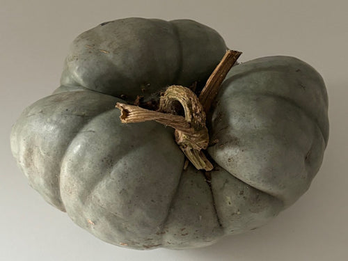 Pumpkin Triamble Seeds - 5 Seeds