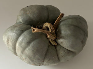 Pumpkin Triamble Seeds - 5 Seeds