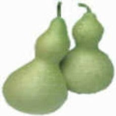 Gourd Bottle (Birdhouse) - 5 Seeds